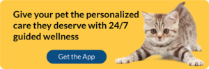 Give your pet the personlaized care. Get the app!