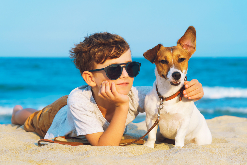 Happy 8 year old boy hugging his dog breed Jack Russell terrier at the seashore against a blue sky close up at sunset