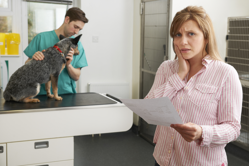 Tips on How to Pay for Vet Bills