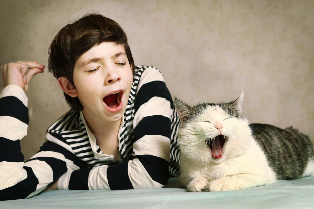 teenager boy in striped blouse and siberian cat close up portrait yawn synchronized together
