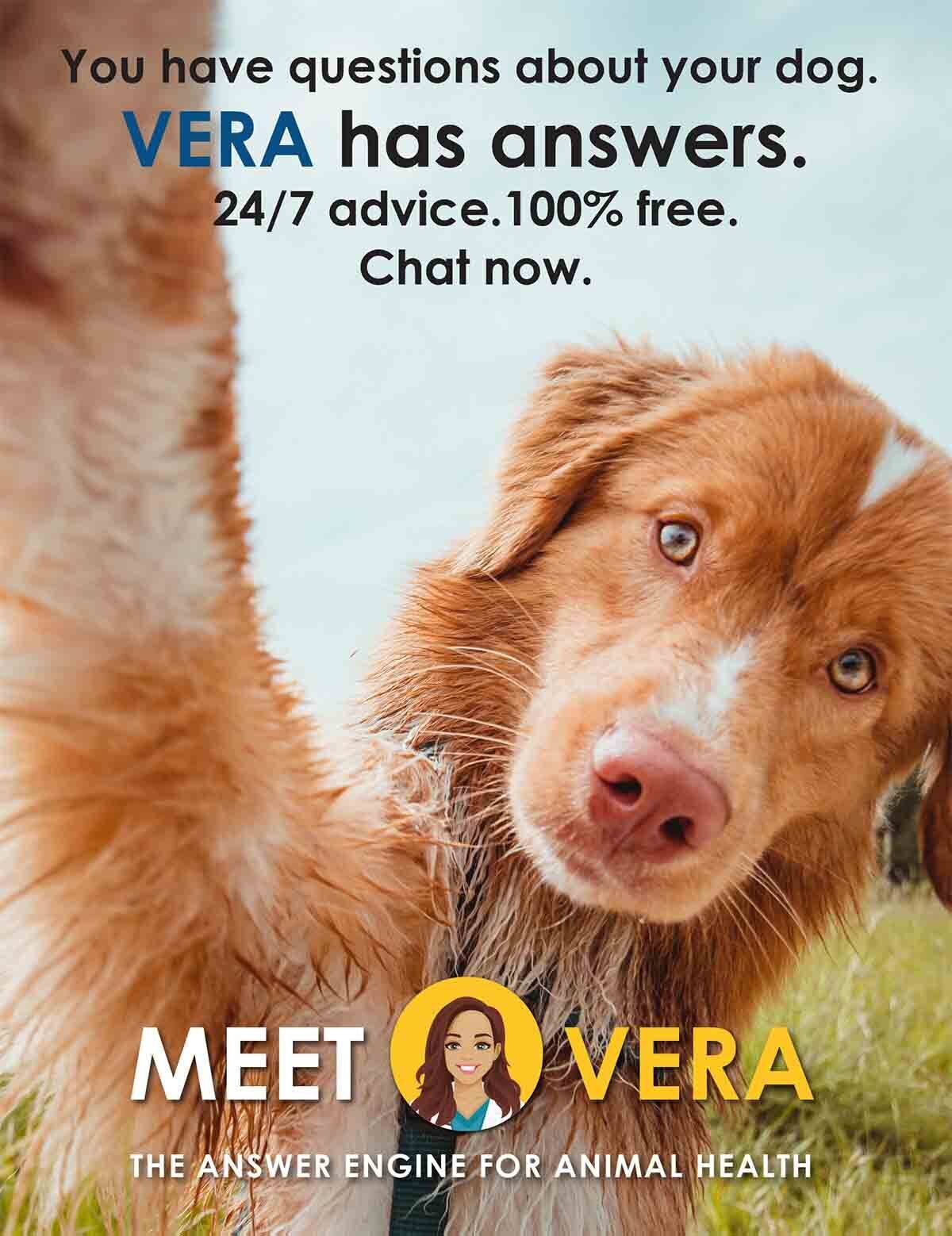 Meet VERA