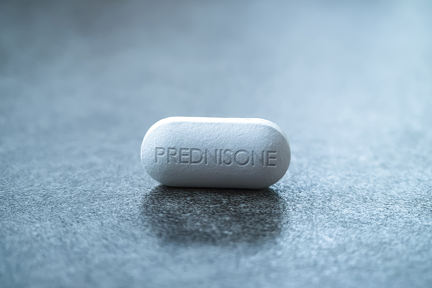 Prednisone for Dogs 101: Uses & Side Effects