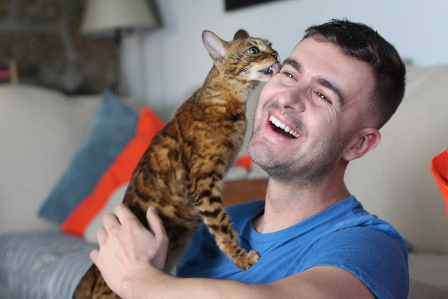 Why Does My Cat Lick Me? The 411