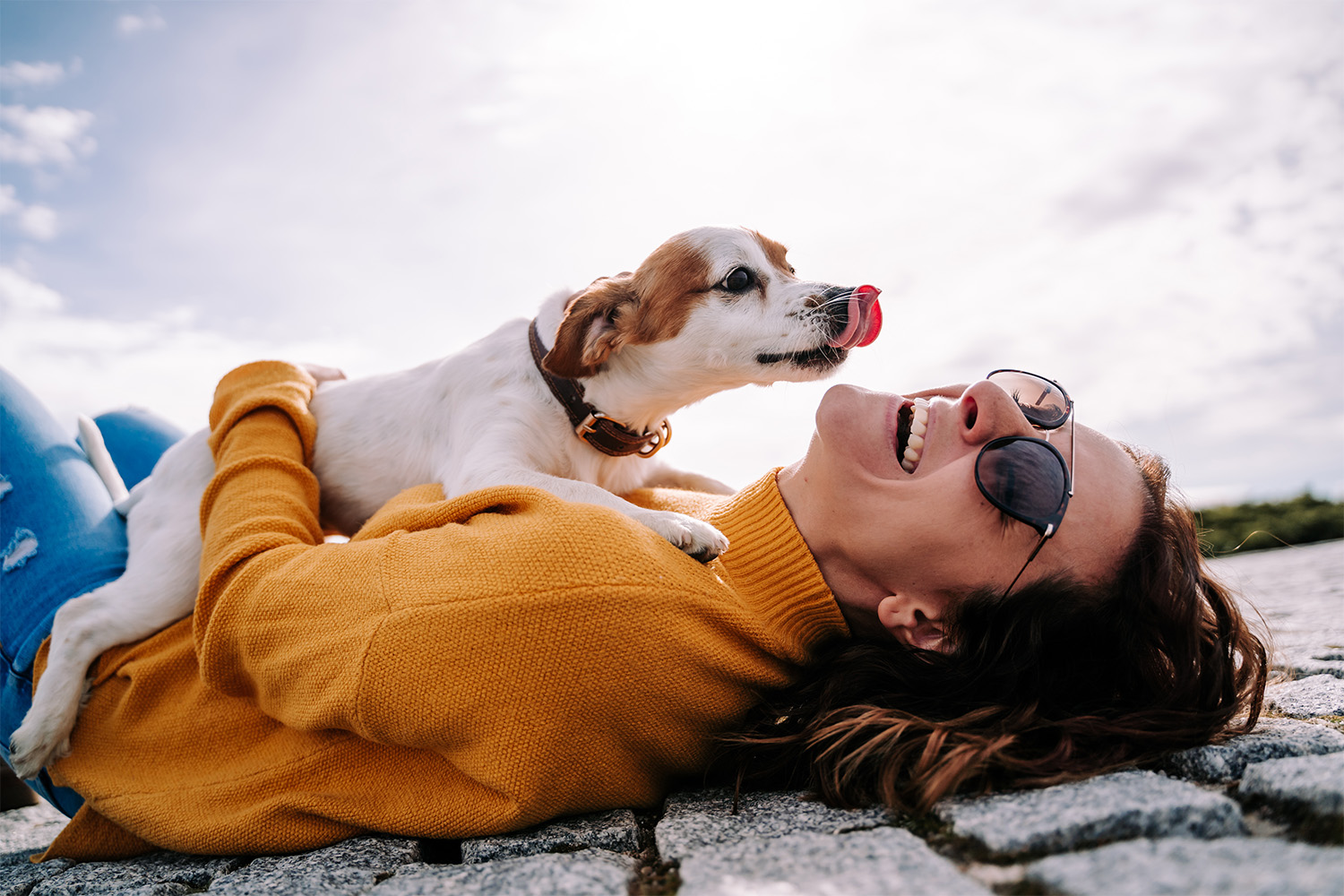 Slobbery Kisses: Why Do Dogs Lick You So Much?