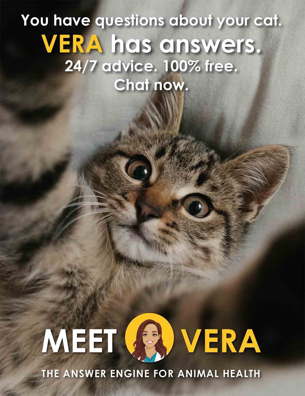 Meet VERA
