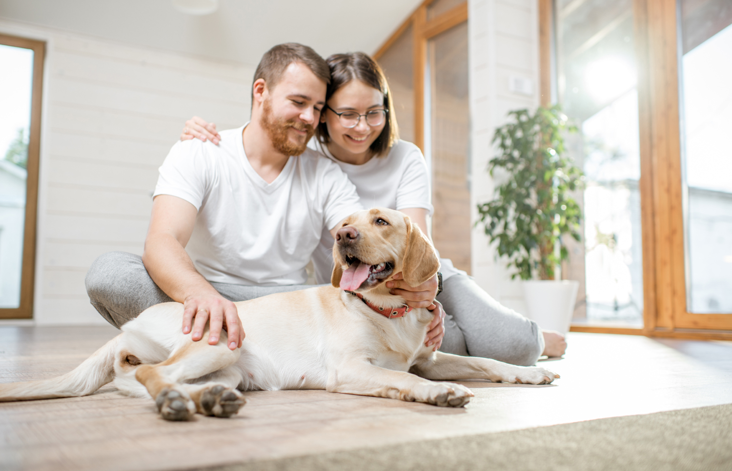 Introducing a New Dog to Your Home: 13 Tips